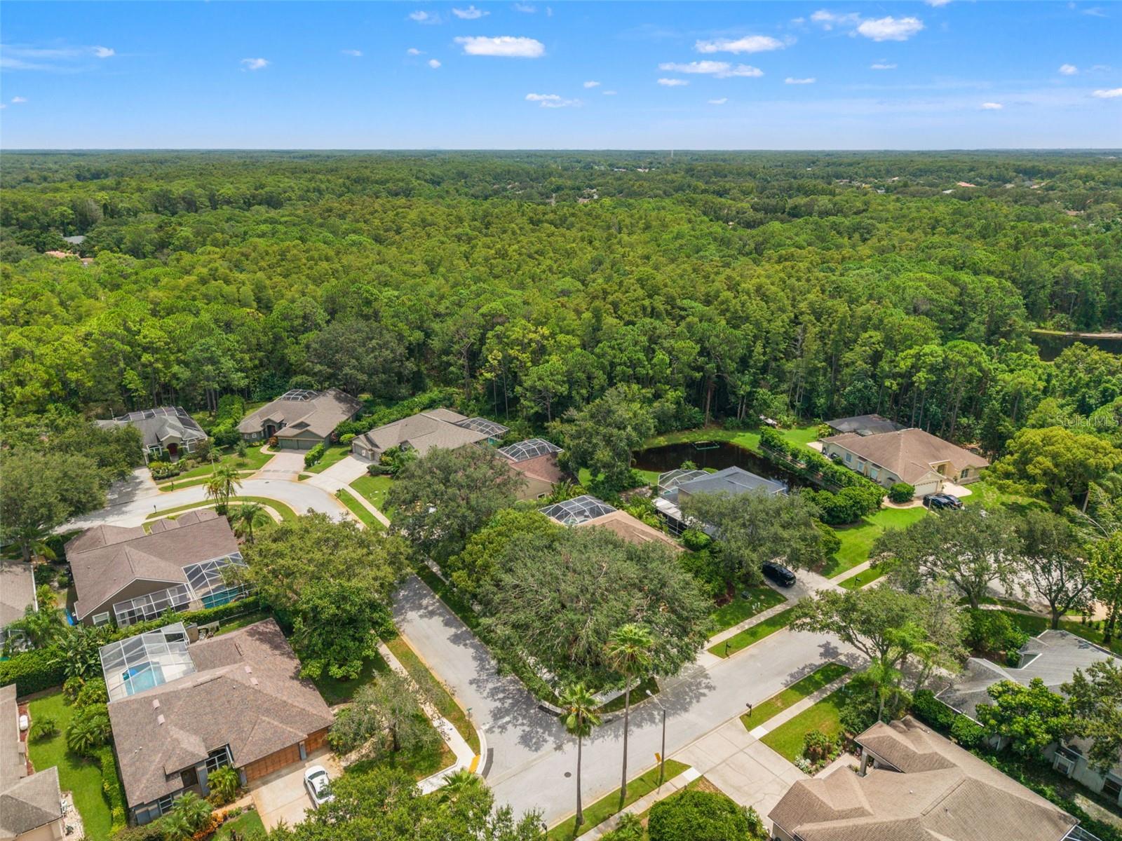 Image 61 of 74 For 4681 Ilex Court