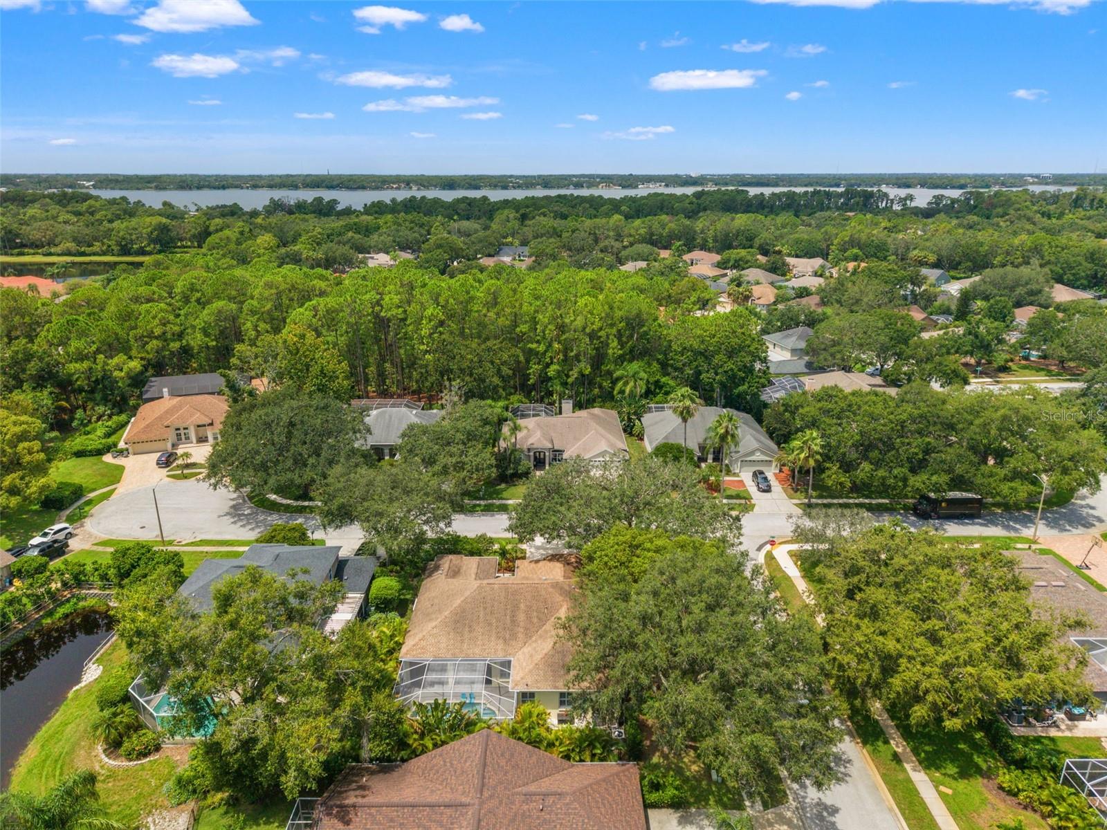 Image 62 of 74 For 4681 Ilex Court