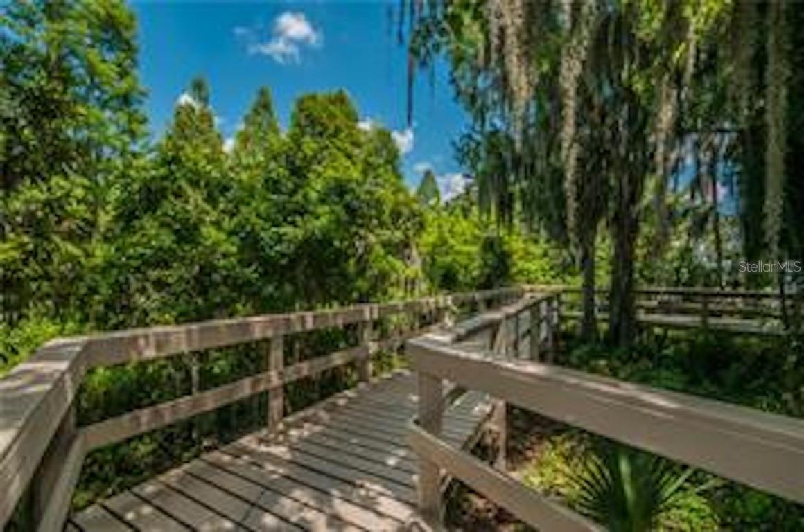 Image 67 of 74 For 4681 Ilex Court