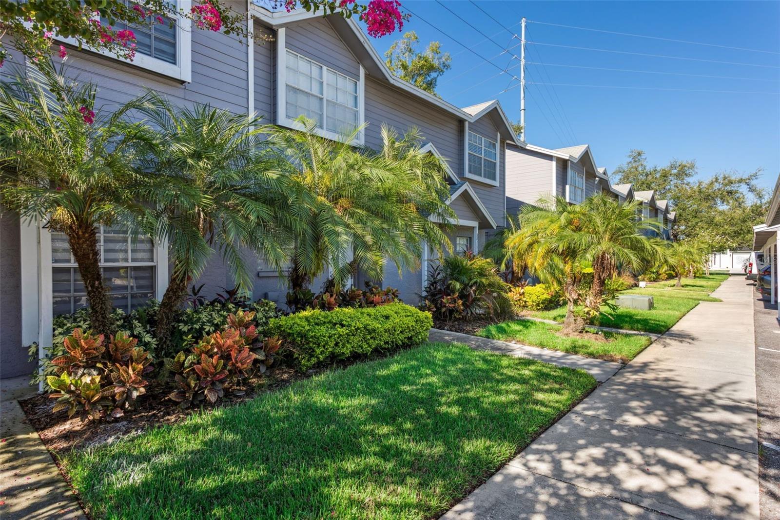 Details for 3414 Arbor Oaks Court, TAMPA, FL 33614