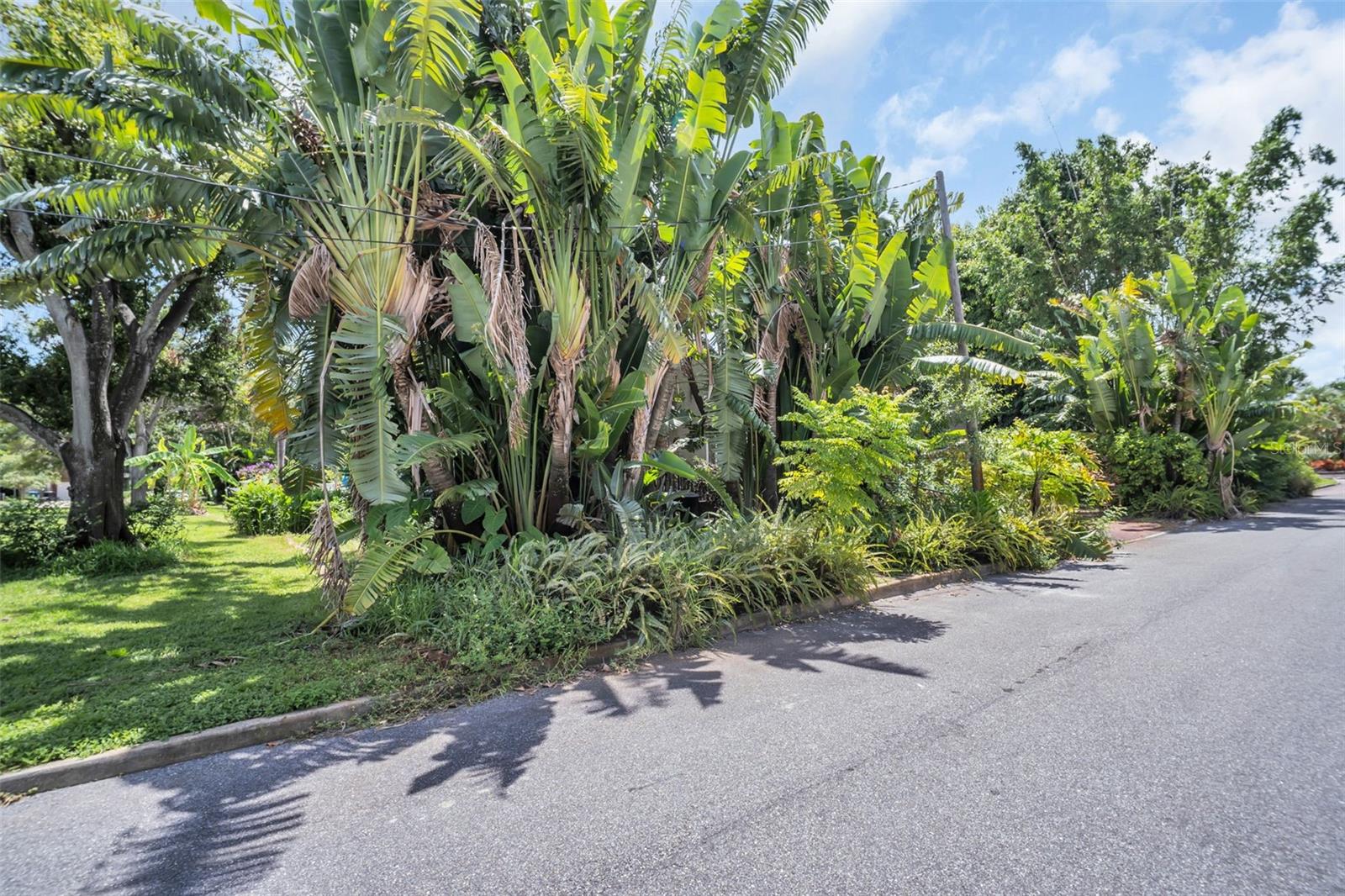 Image 10 of 29 For 720 15th Avenue N