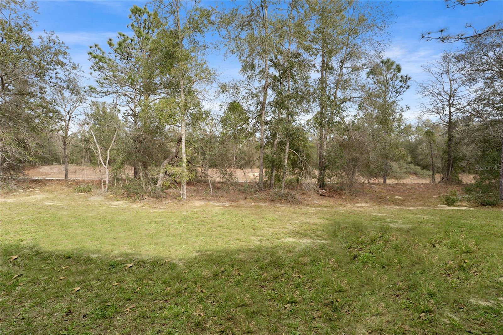Image 39 of 50 For 9461 Sandree Drive
