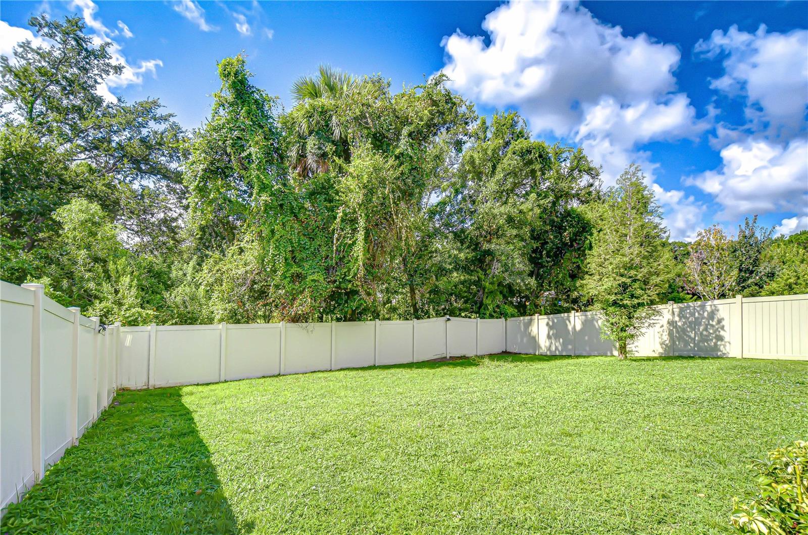 Image 31 of 41 For 11162 Spring Point Circle