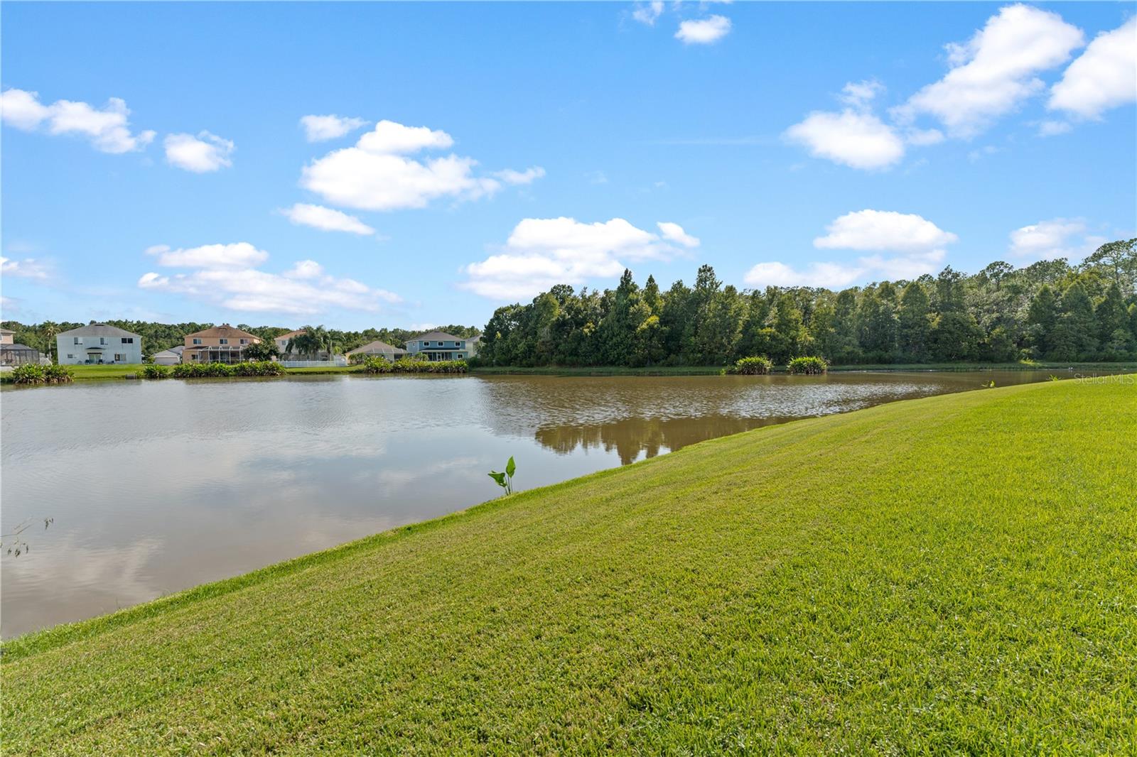 Image 62 of 72 For 25444 Geddy Drive