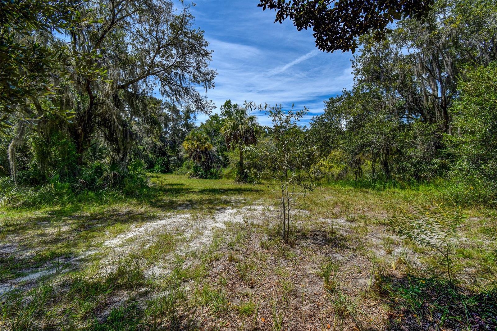 Image 16 of 22 For 8601 Bass Lake Road 12