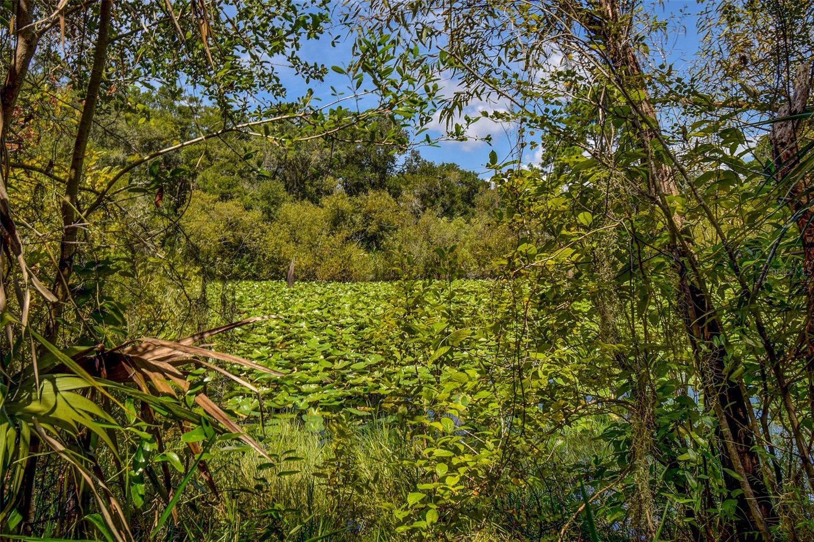 Image 17 of 22 For 8601 Bass Lake Road 12