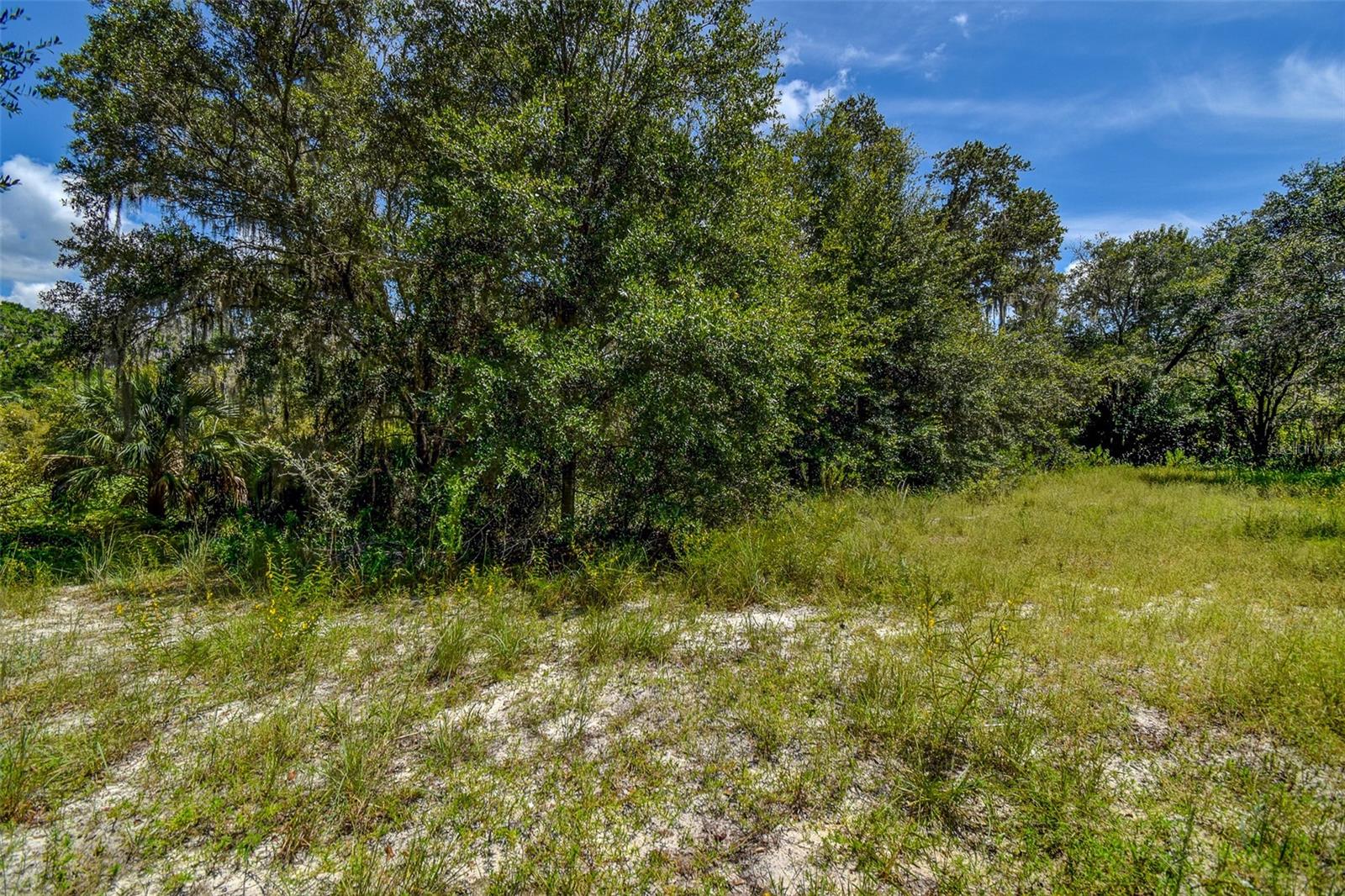 Image 18 of 22 For 8601 Bass Lake Road 12