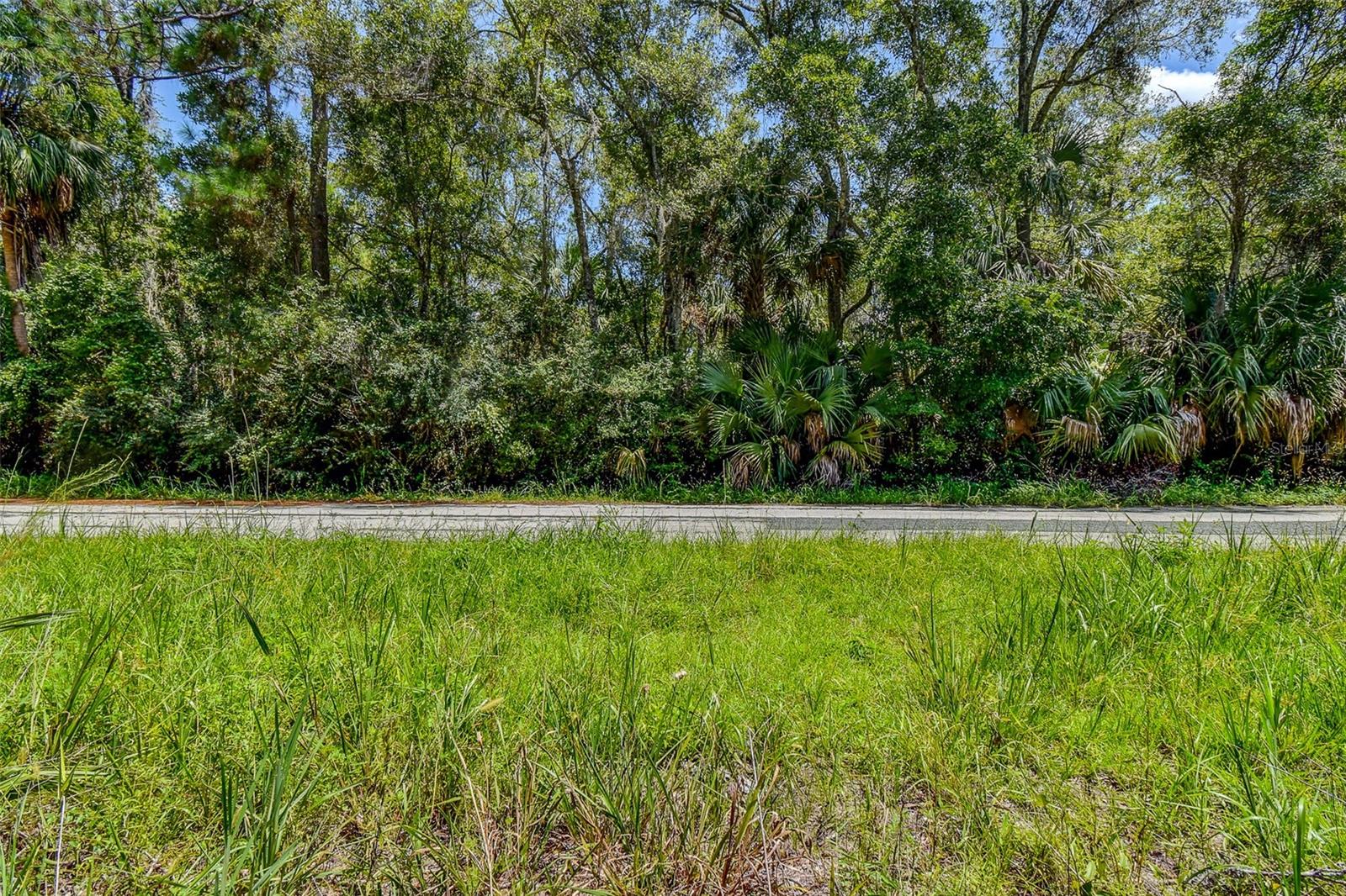 Image 15 of 15 For 8683 Bellflower Way