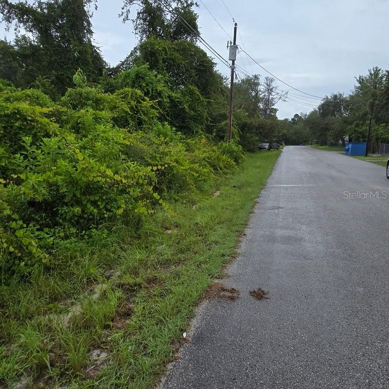 Details for  Wandell  , NEW PORT RICHEY, FL 34654
