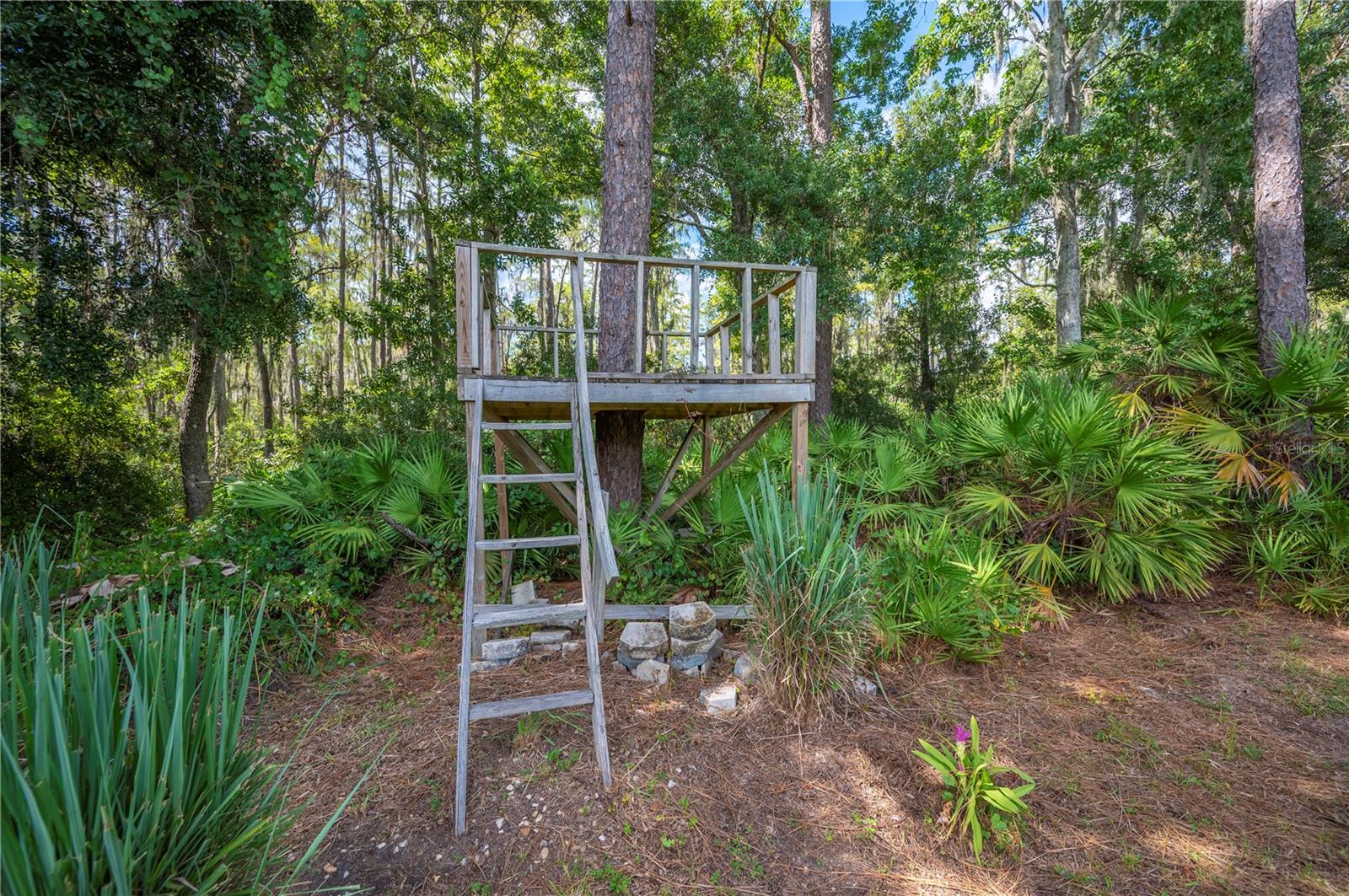 Image 85 of 100 For 3609 Lonzalo Way