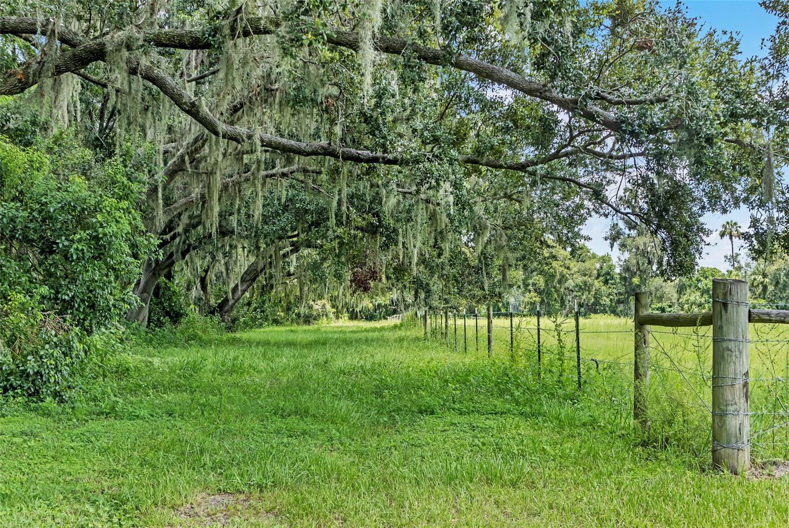Listing photo id 1 for 4486 Miley Road