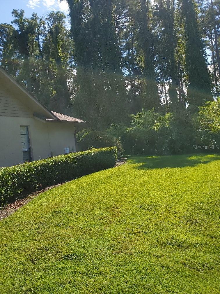 Image 25 of 54 For 4218 Carrollwood Village Drive