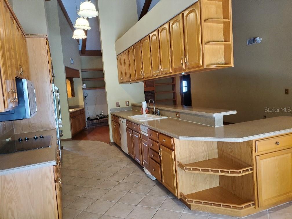 Image 31 of 54 For 4218 Carrollwood Village Drive
