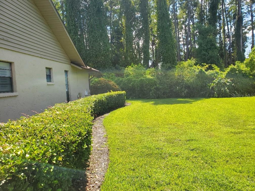 Image 35 of 54 For 4218 Carrollwood Village Drive