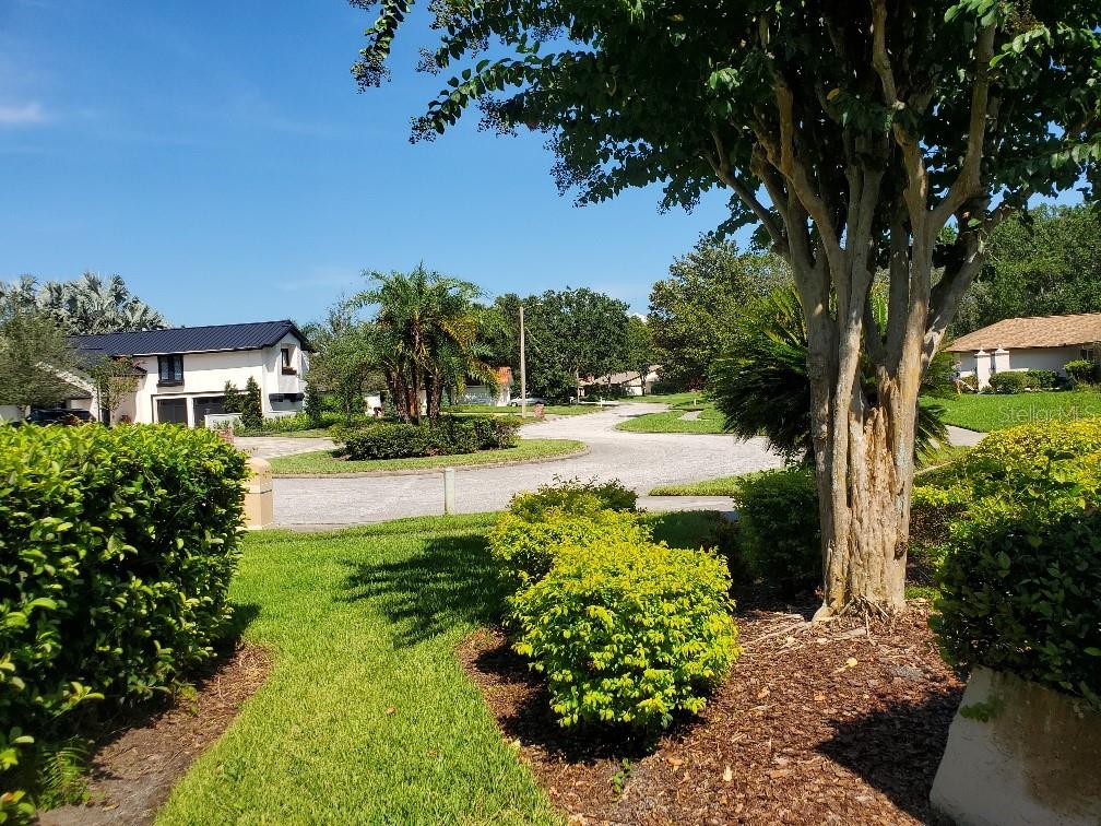 Image 36 of 54 For 4218 Carrollwood Village Drive