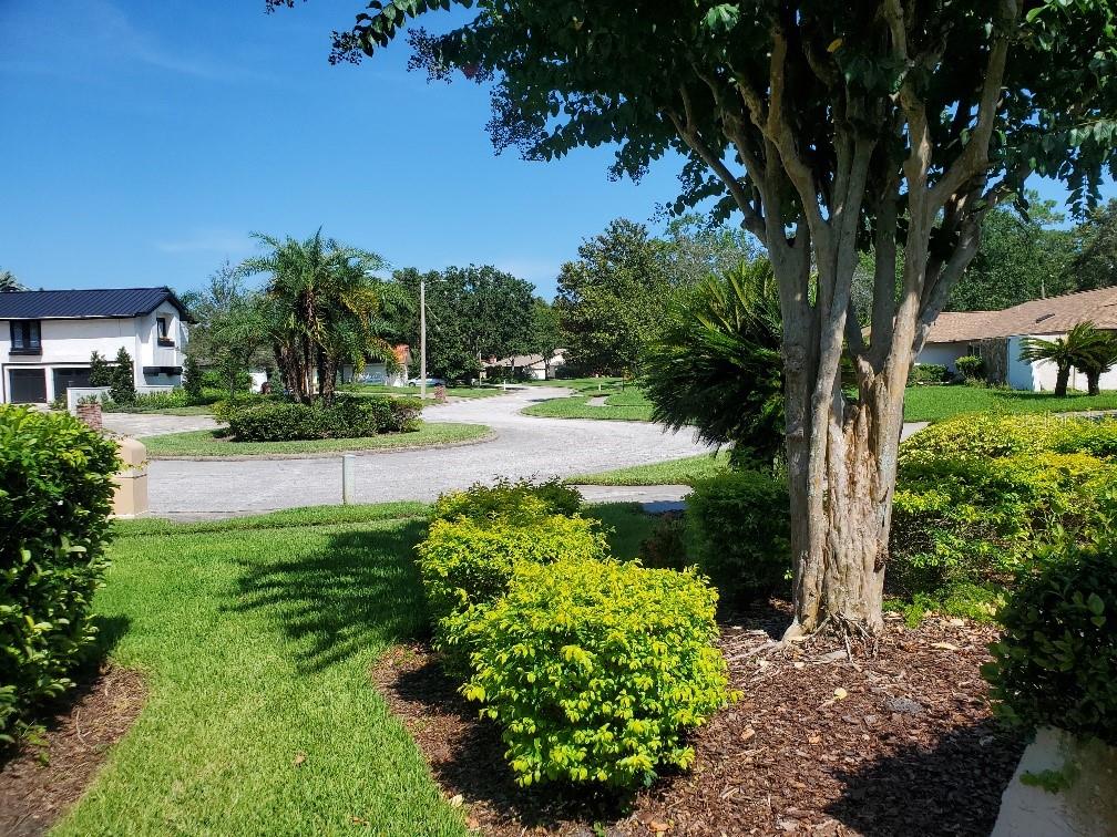 Image 7 of 54 For 4218 Carrollwood Village Drive