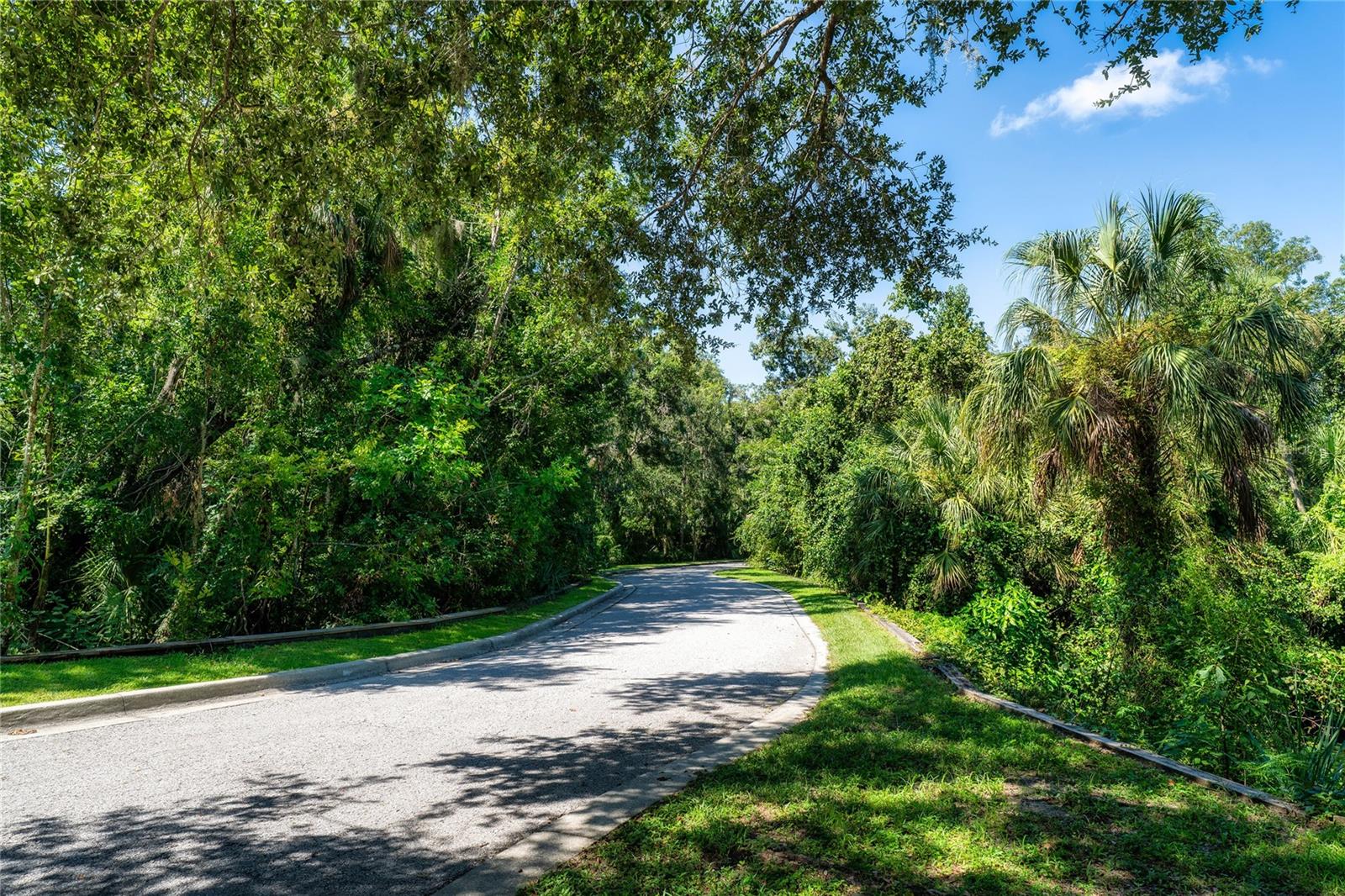Details for 4710 Rambling River Road, BRANDON, FL 33511