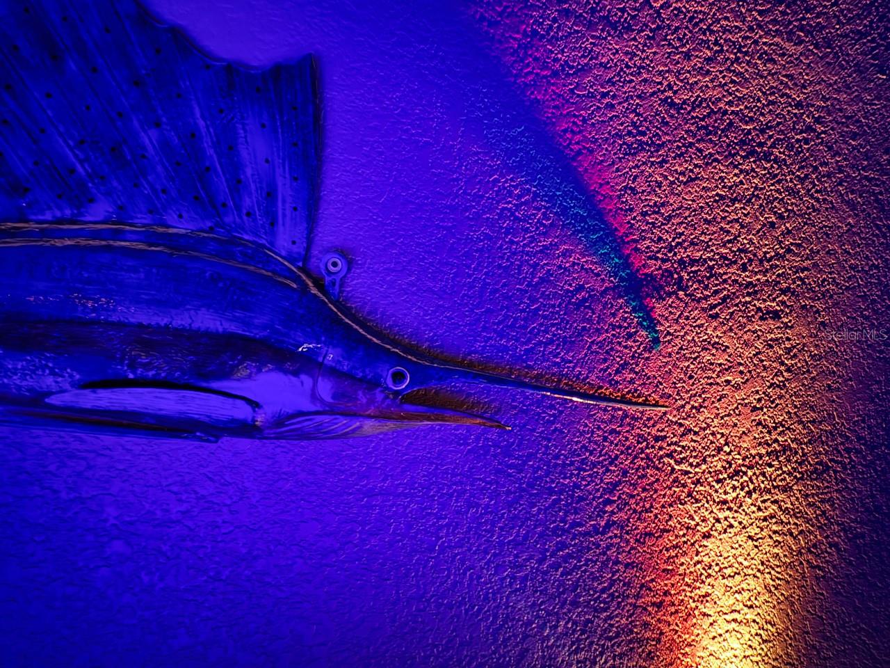 Image 38 of 53 For 3455 Triggerfish Drive