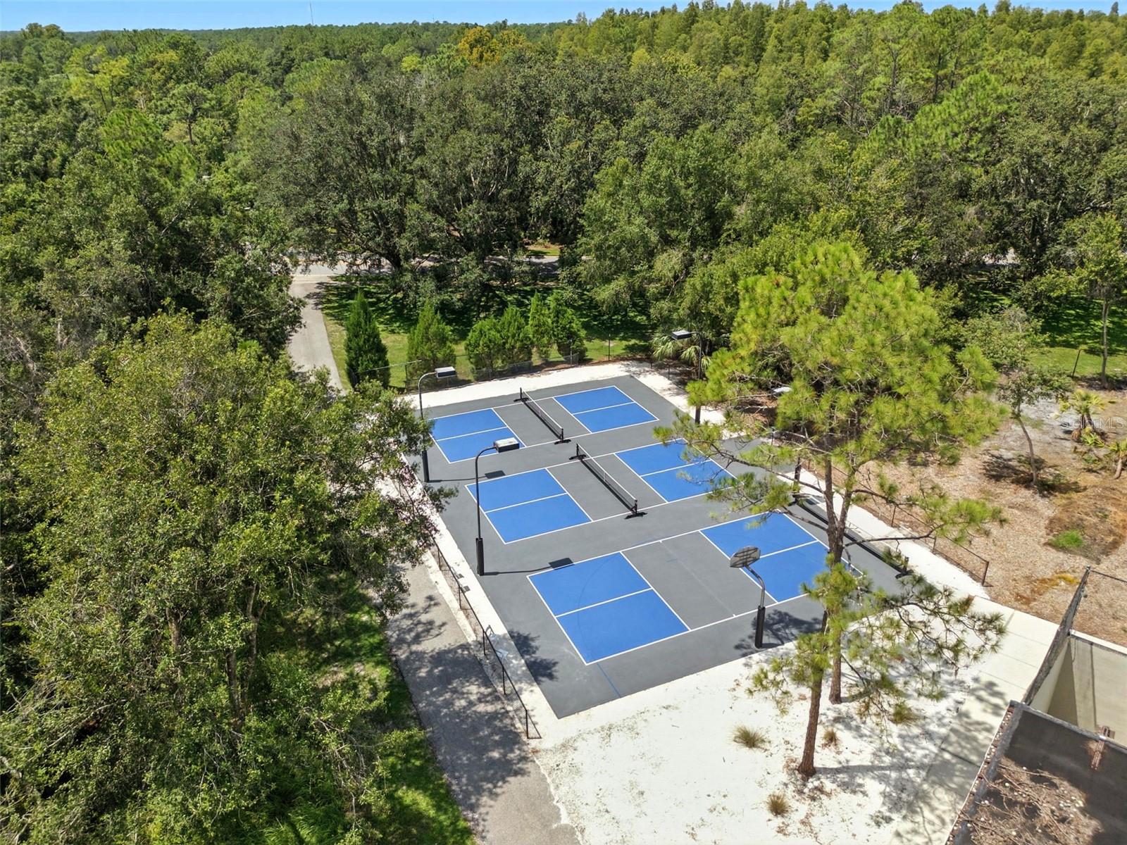 Listing photo id 31 for 9415 Hunters Pond Drive