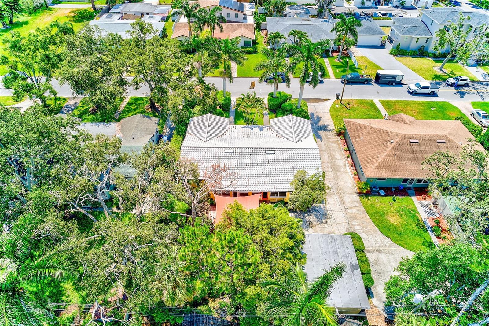 Image 62 of 66 For 240-242 Mateo Way Ne