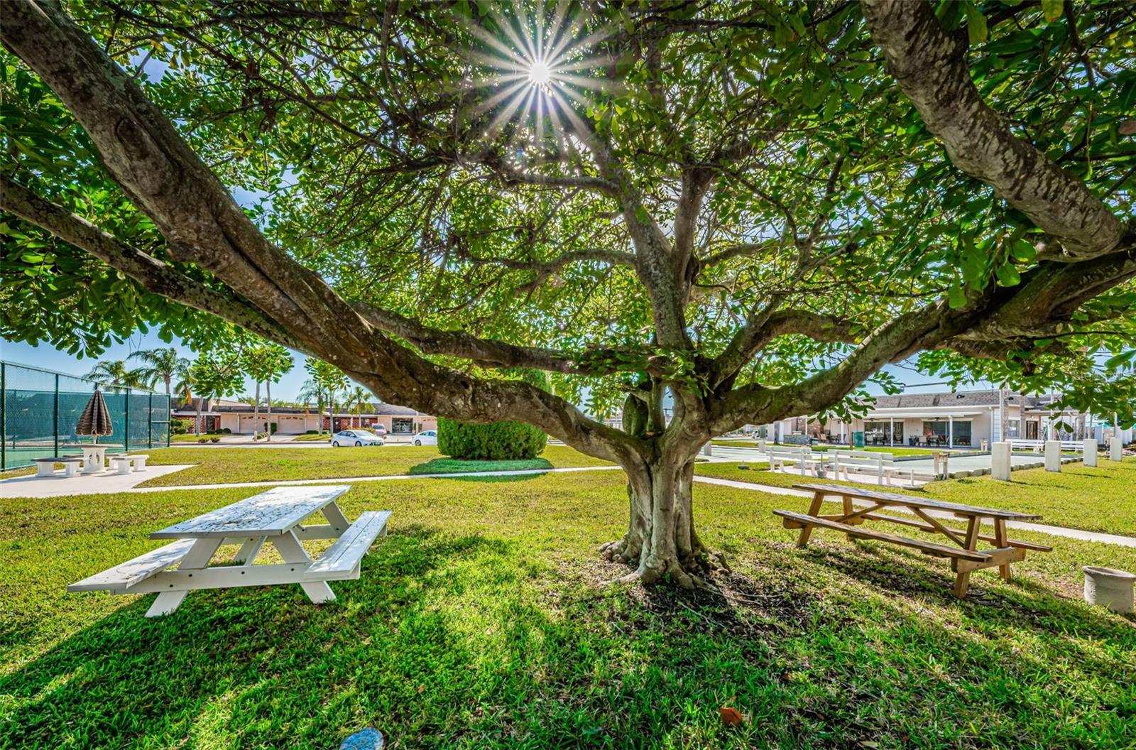 Image 62 of 89 For 1 Boca Ciega Point Boulevard 314