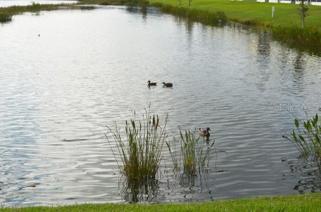 Image 46 of 53 For 4815 Pond Ridge Drive