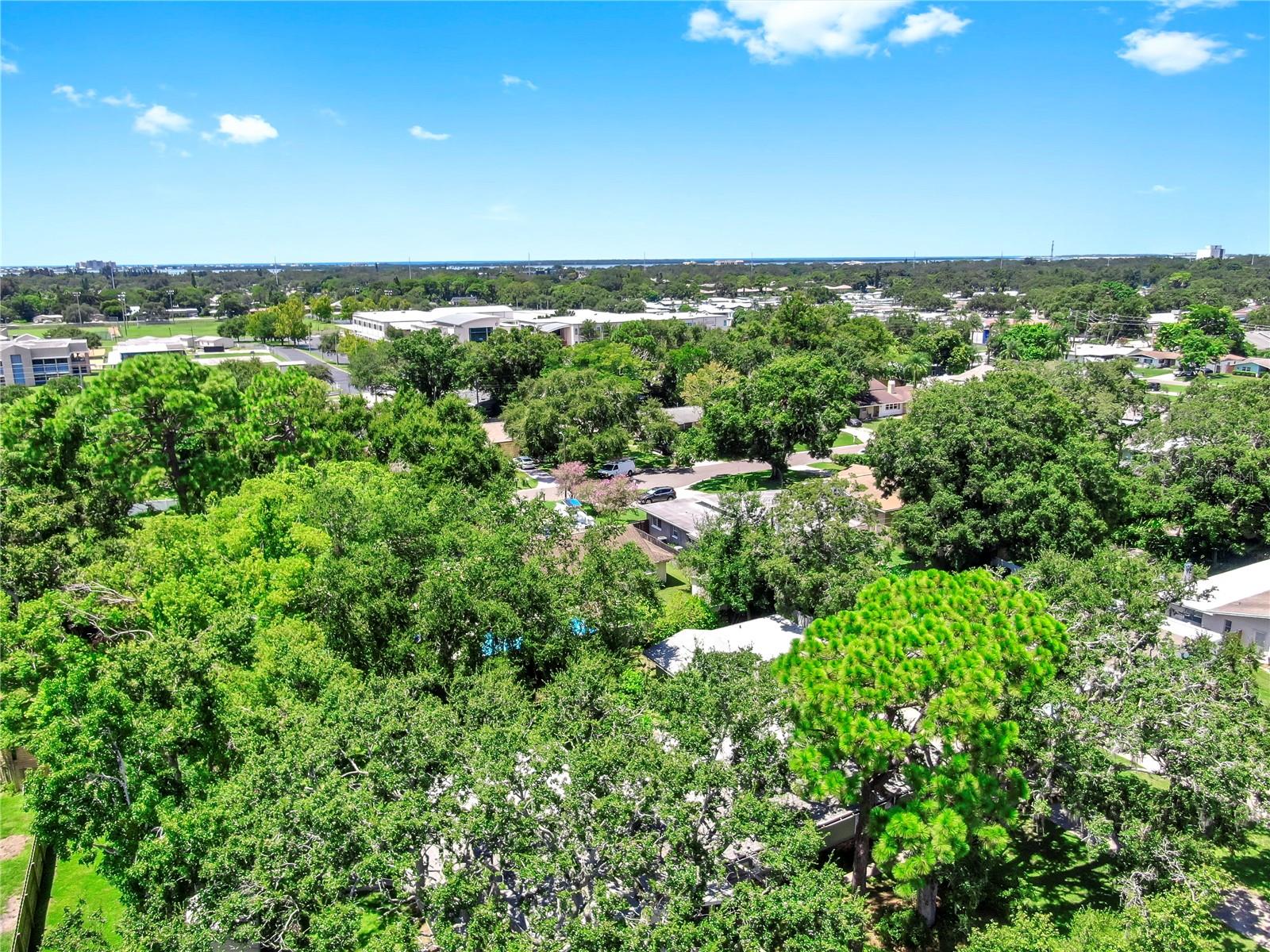 Image 32 of 34 For 58 Arnoni Drive