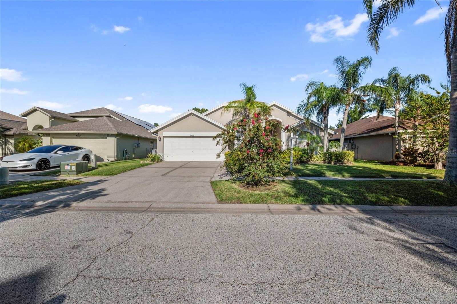 Details for 10028 Oasis Palm Dr, TAMPA, FL 33615