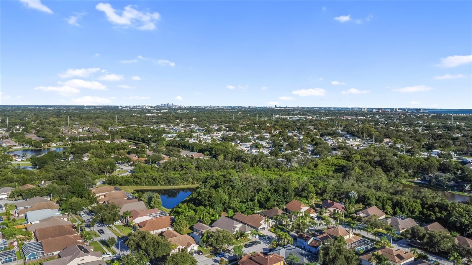 Image 49 of 52 For 10028 Oasis Palm Dr