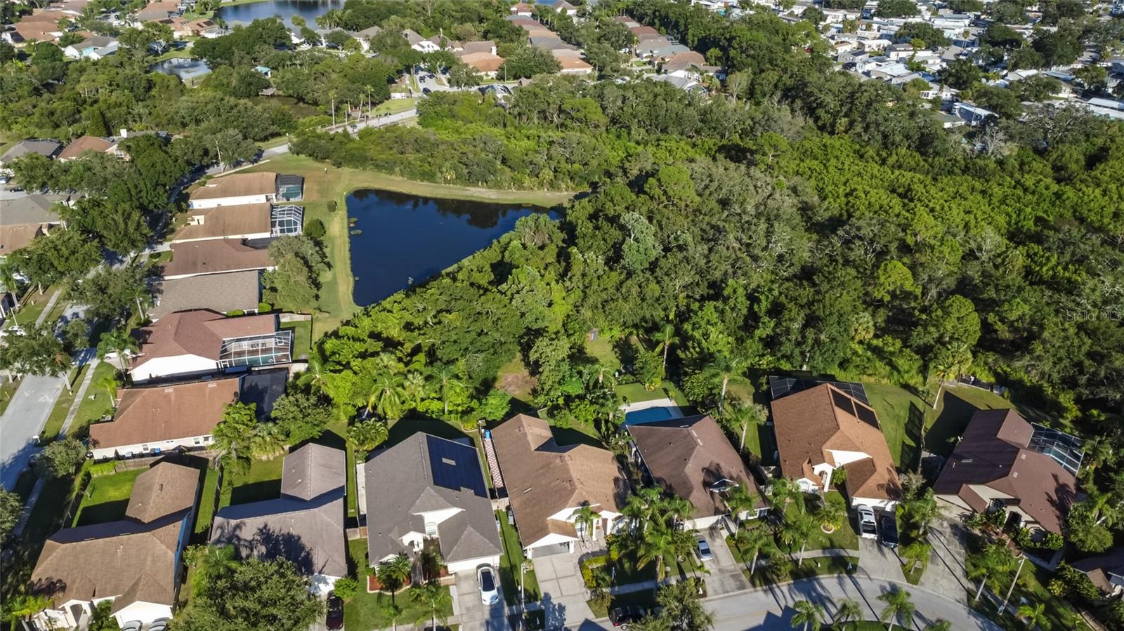 Image 50 of 52 For 10028 Oasis Palm Dr