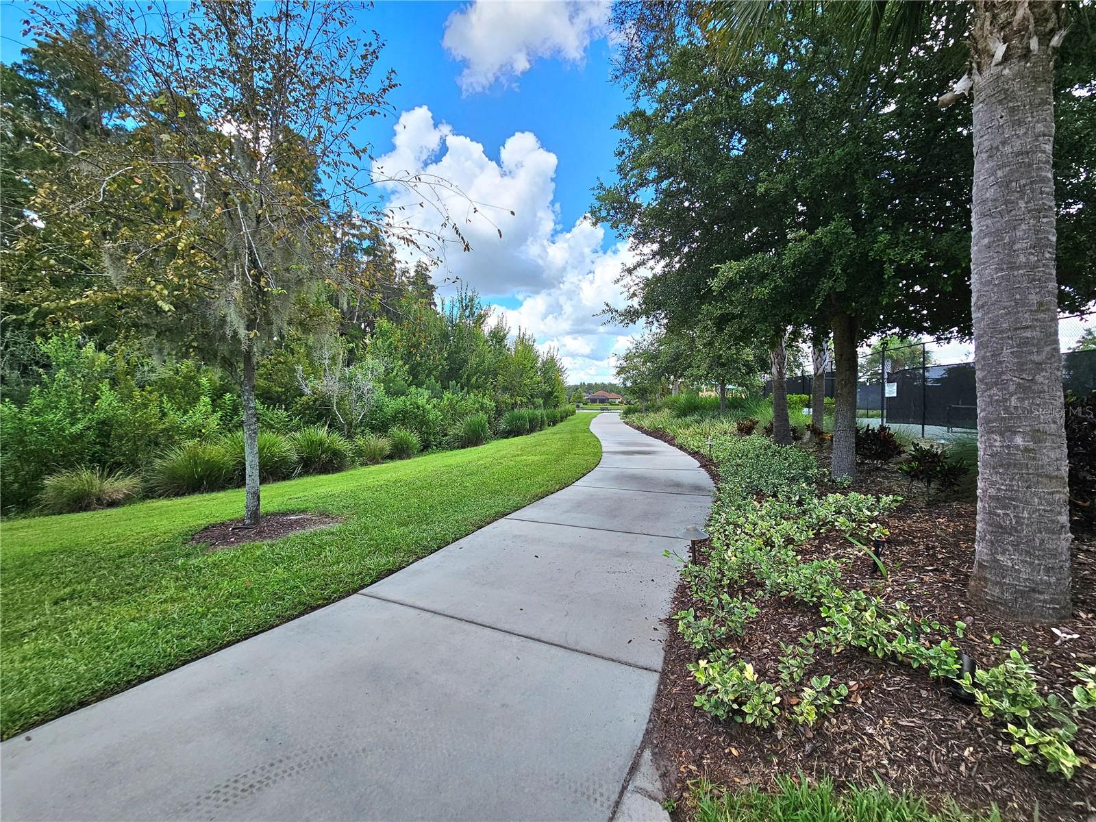 Image 72 of 76 For 11740 Bitola Drive