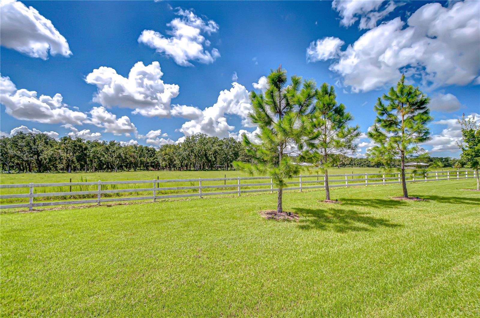 Image 39 of 45 For 13163 Pasture View Loop