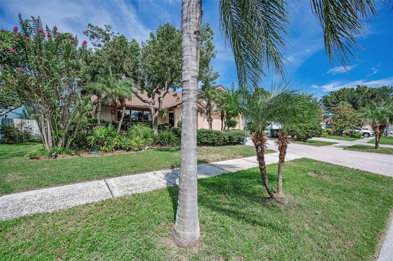 Image 49 of 87 For 8609 Thimbleberry Lane