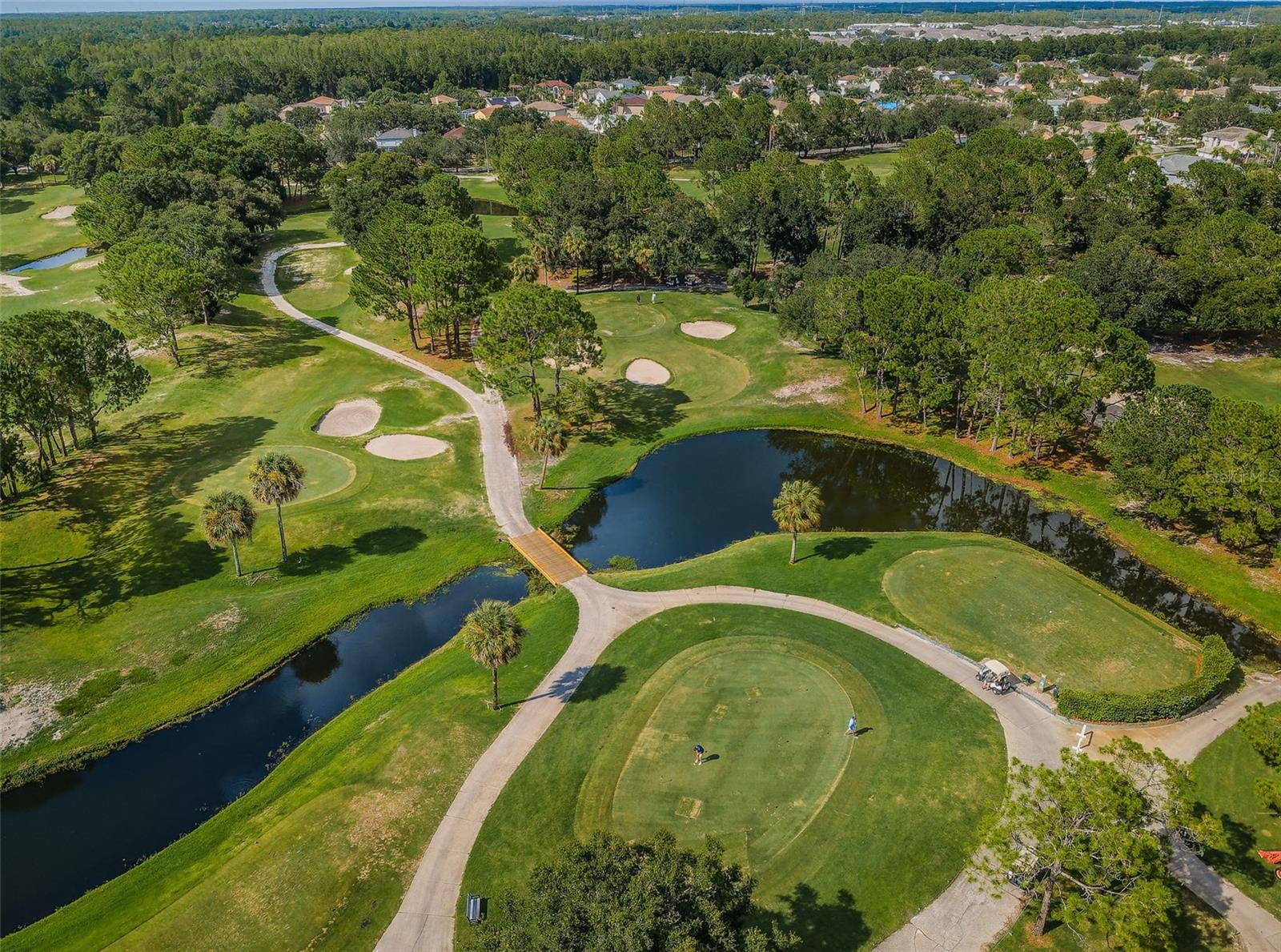 Image 54 of 87 For 8609 Thimbleberry Lane