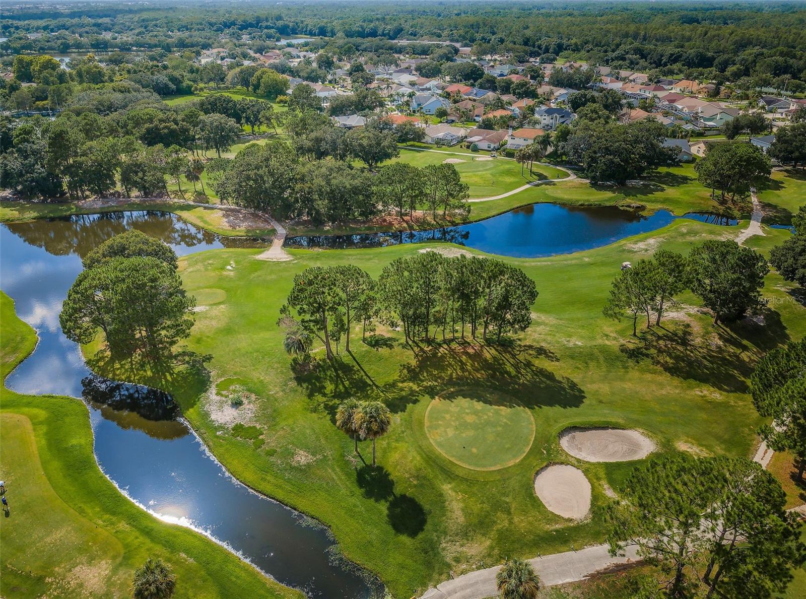 Image 55 of 87 For 8609 Thimbleberry Lane
