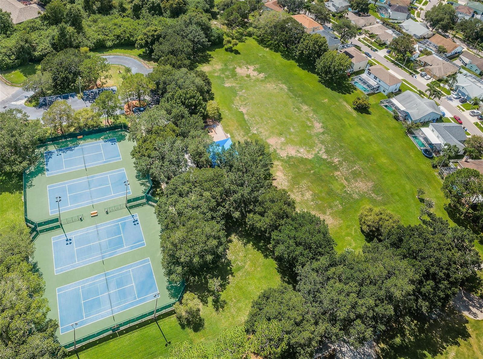 Image 58 of 87 For 8609 Thimbleberry Lane