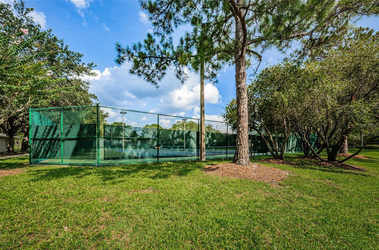 Image 70 of 87 For 8609 Thimbleberry Lane