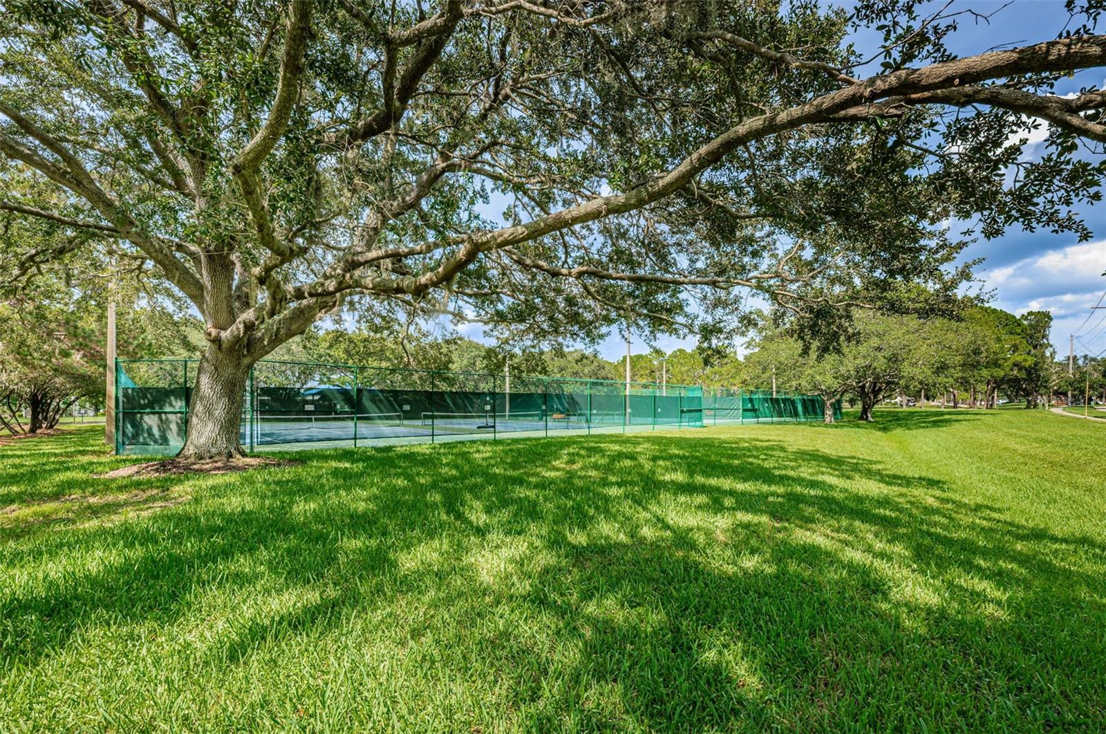 Image 72 of 87 For 8609 Thimbleberry Lane