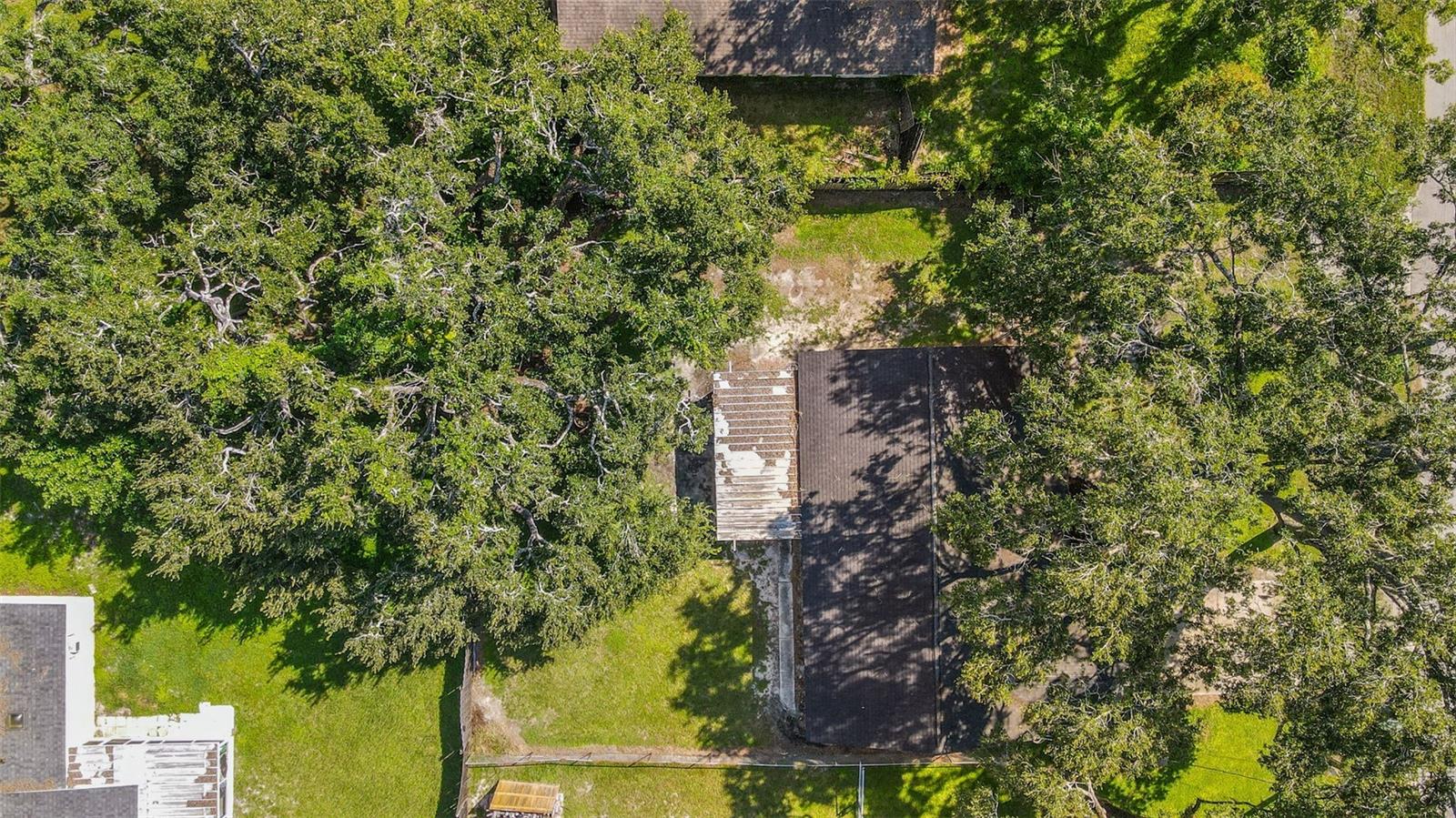 Image 31 of 33 For 9217 Maynard Avenue