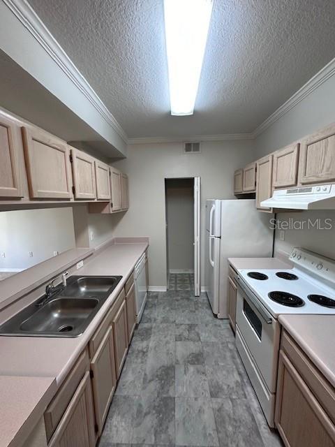 Image 8 of 12 For 5612 Pinnacle Heights Circle 307