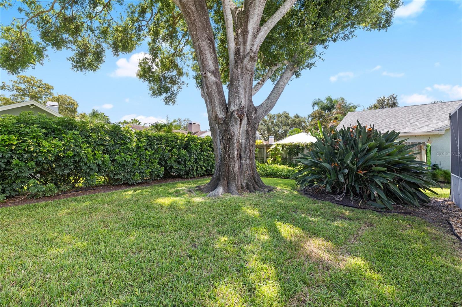 Image 49 of 54 For 2725 Onizuka Court