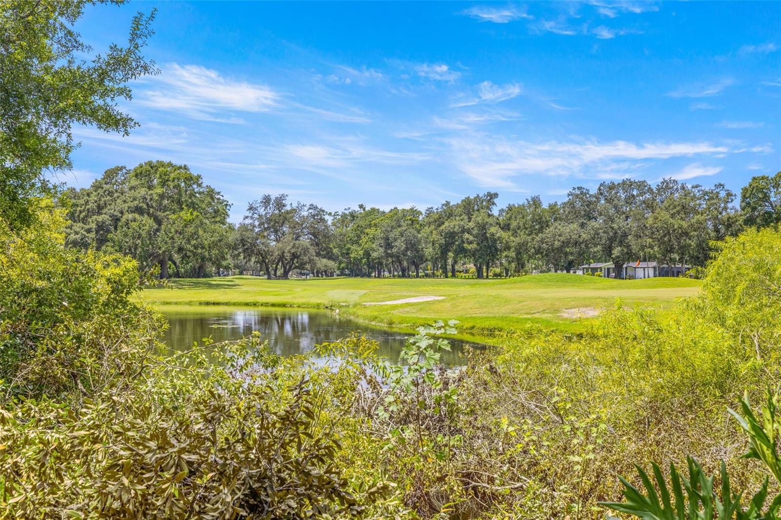 Image 4 of 51 For 11608 Boulevard