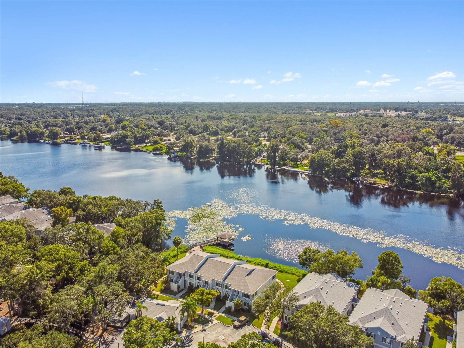 Image 61 of 97 For 4125 Dolphin Drive