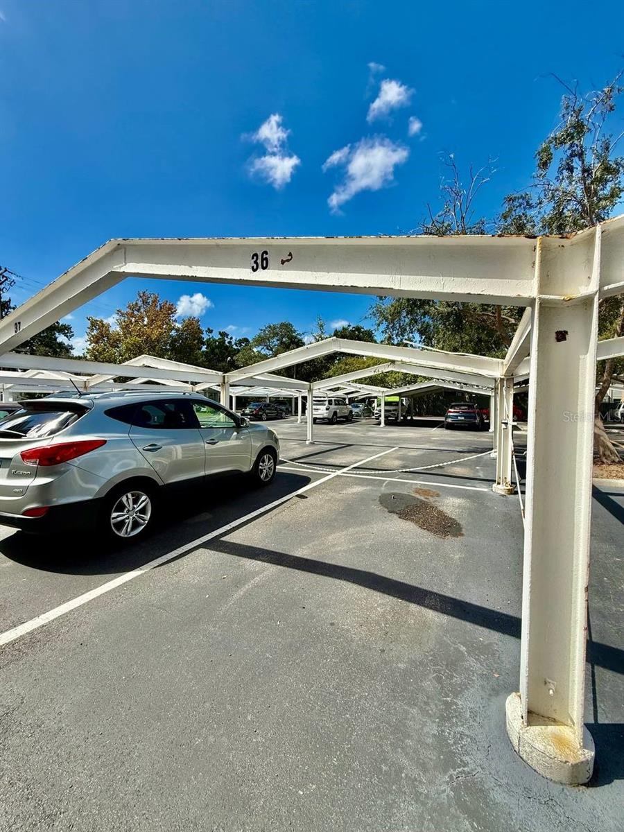 Image 22 of 28 For 4015 Bayshore Boulevard 15a