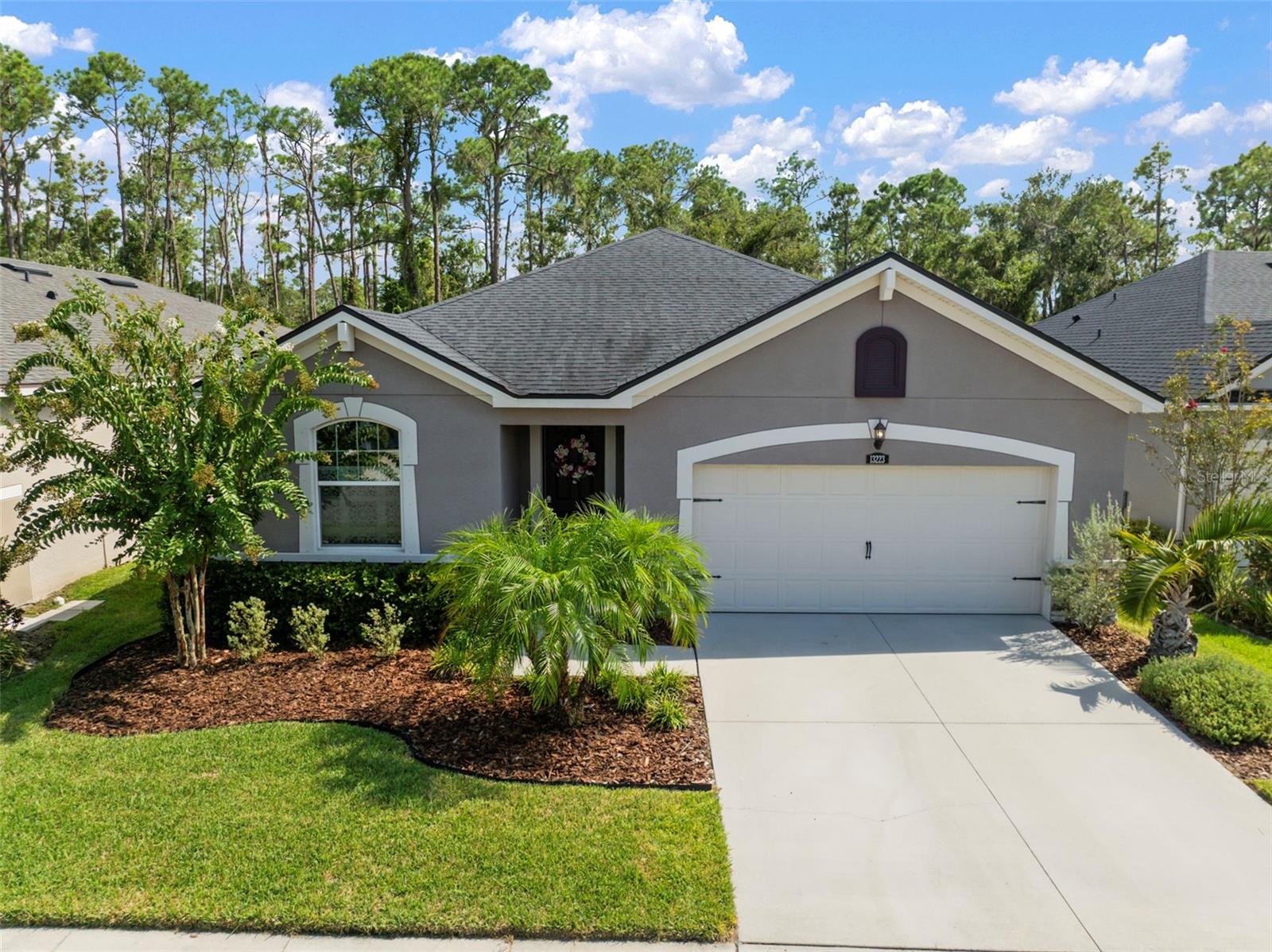 Details for 13223 Baby Belle Drive, RIVERVIEW, FL 33579