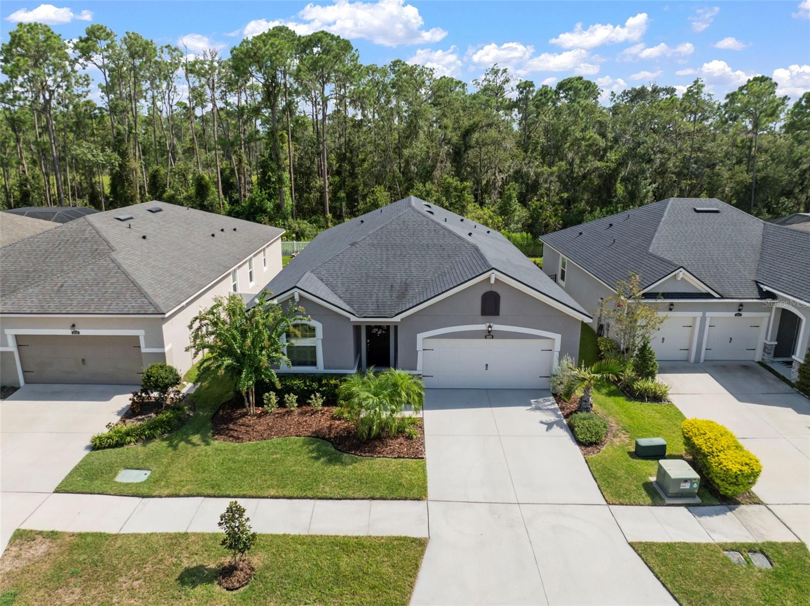 Listing photo id 0 for 13223 Baby Belle Drive