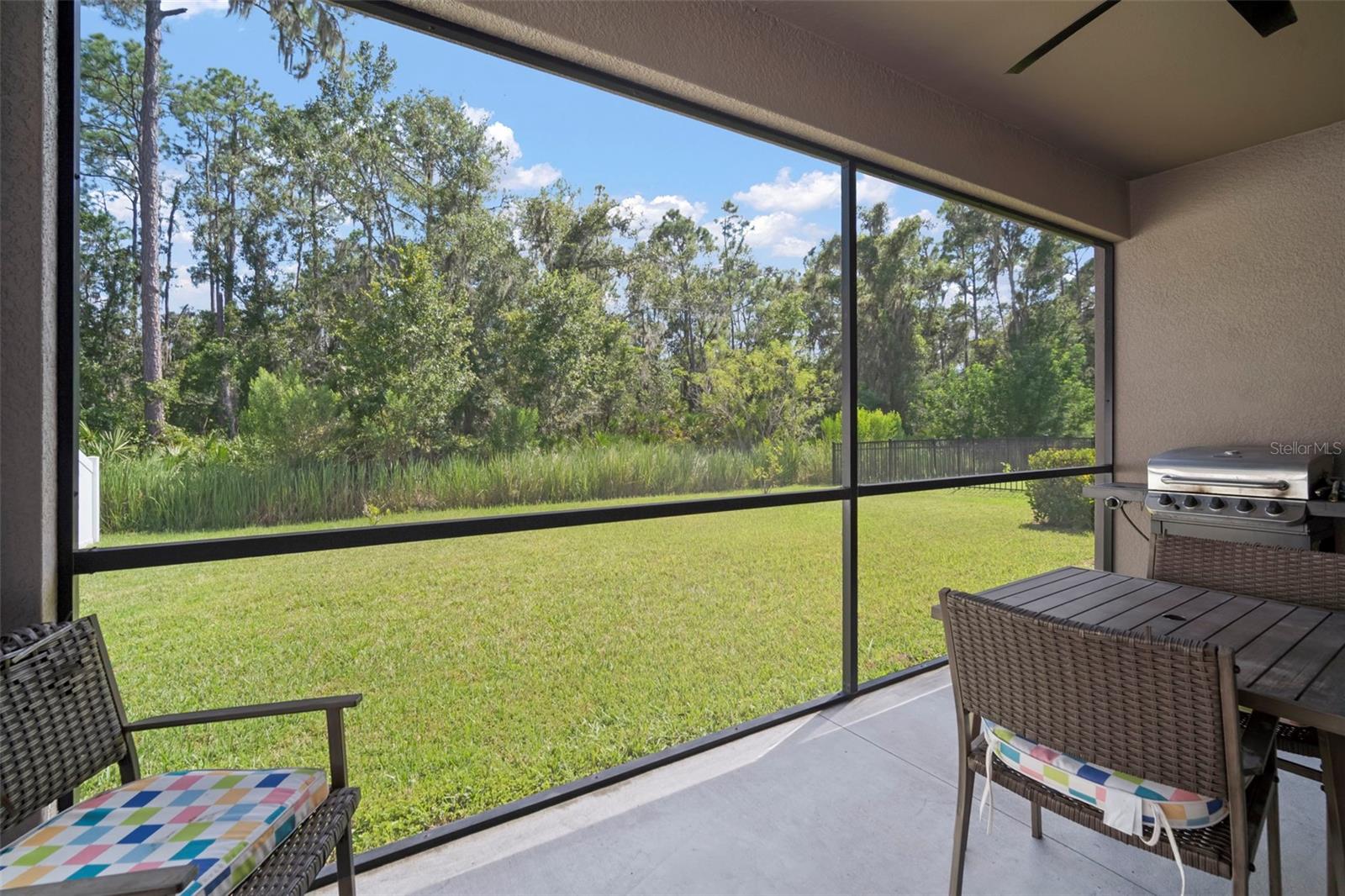 Listing photo id 34 for 13223 Baby Belle Drive