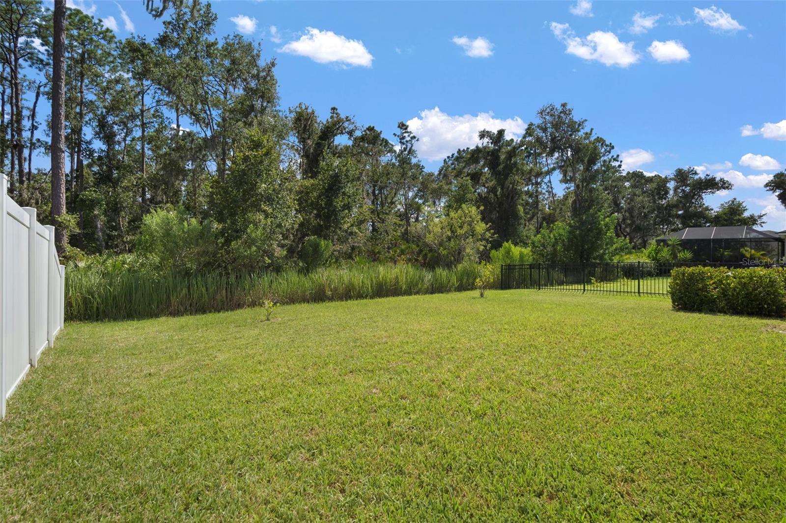 Listing photo id 35 for 13223 Baby Belle Drive