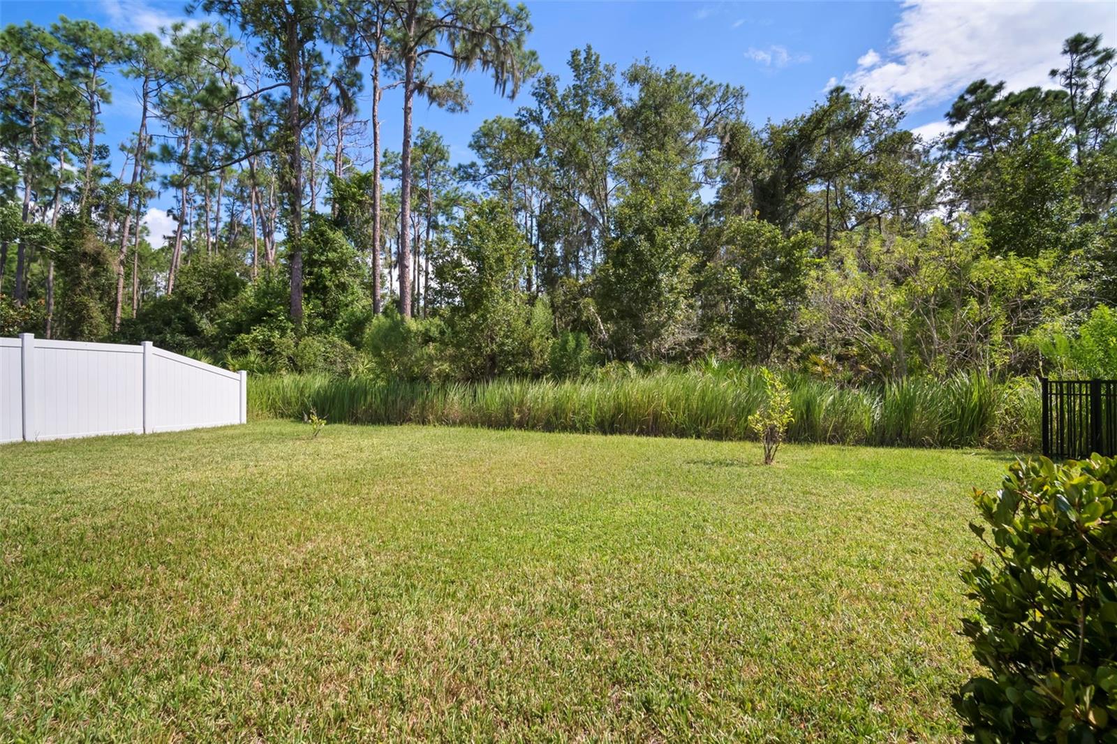 Listing photo id 36 for 13223 Baby Belle Drive