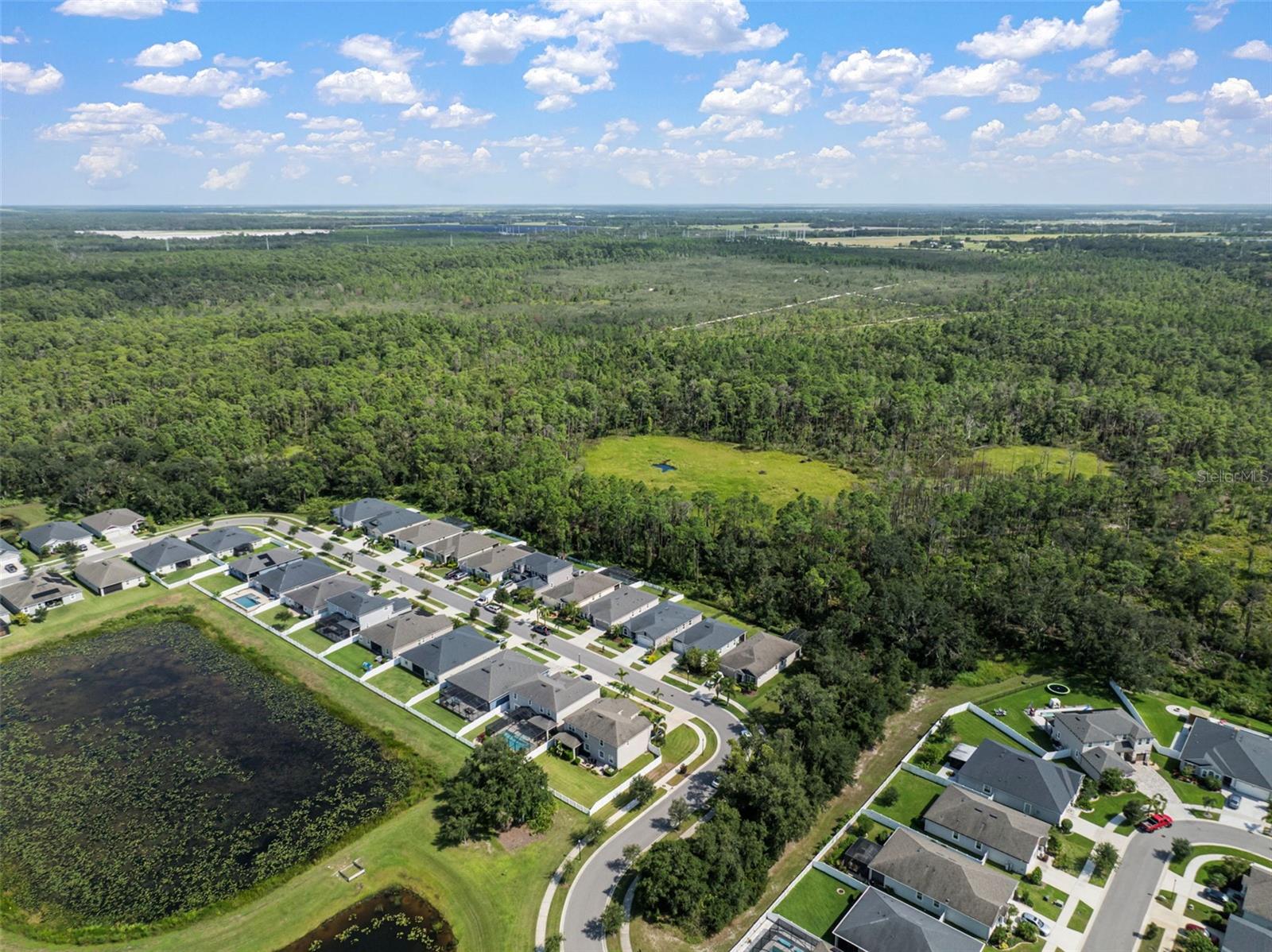 Listing photo id 45 for 13223 Baby Belle Drive